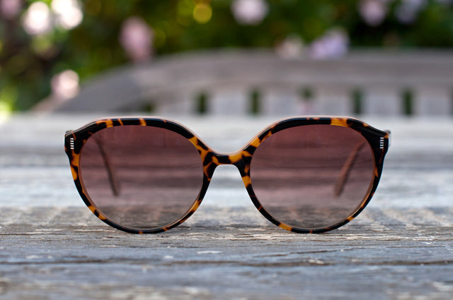 Topanga Sunglasses